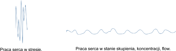 Stres vs skupienie - wykres pracy serca
